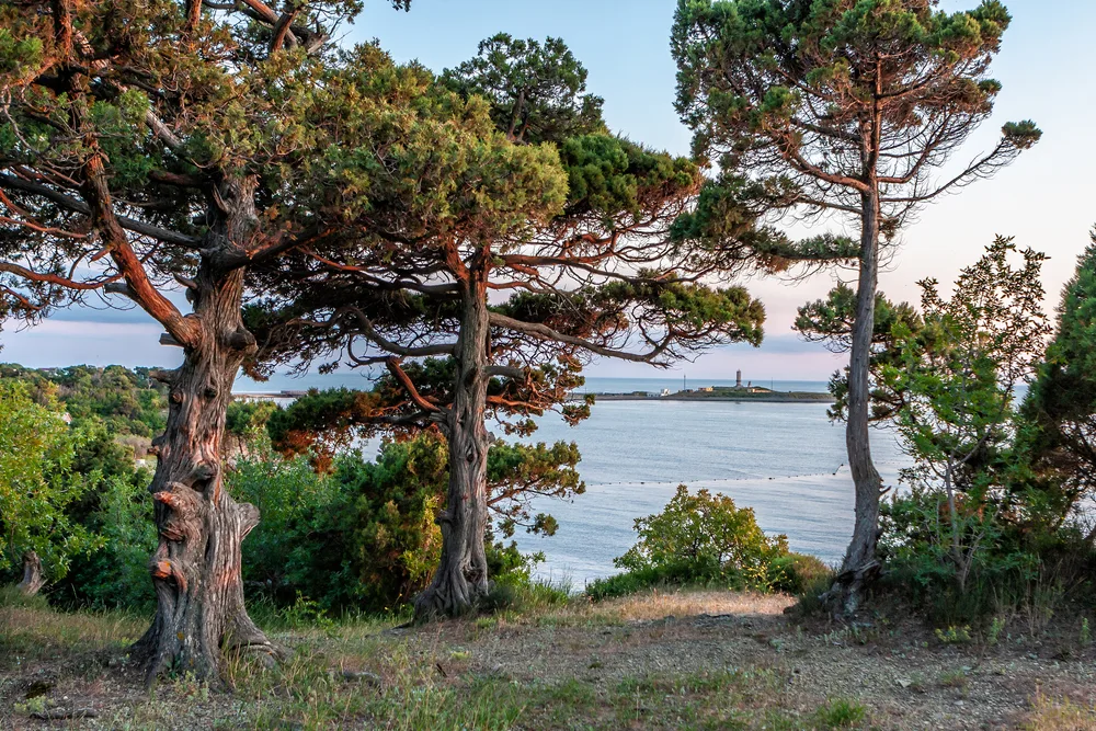 Экскурсия с купанием в озере