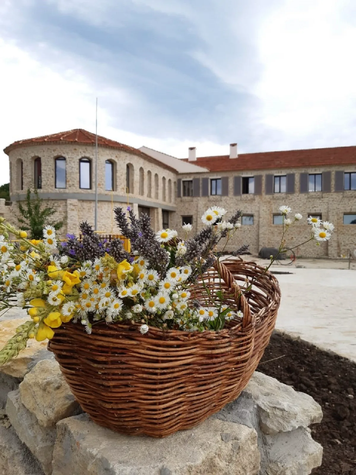 Лучший винный тур Chateau Andre: Прованс — удивительное рядом