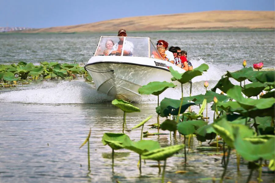 Долина лотосов и отдых на Азовском море